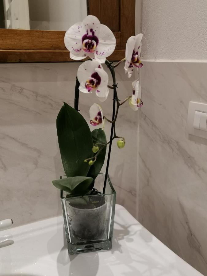Appartamento Eva Florens Exteriör bild